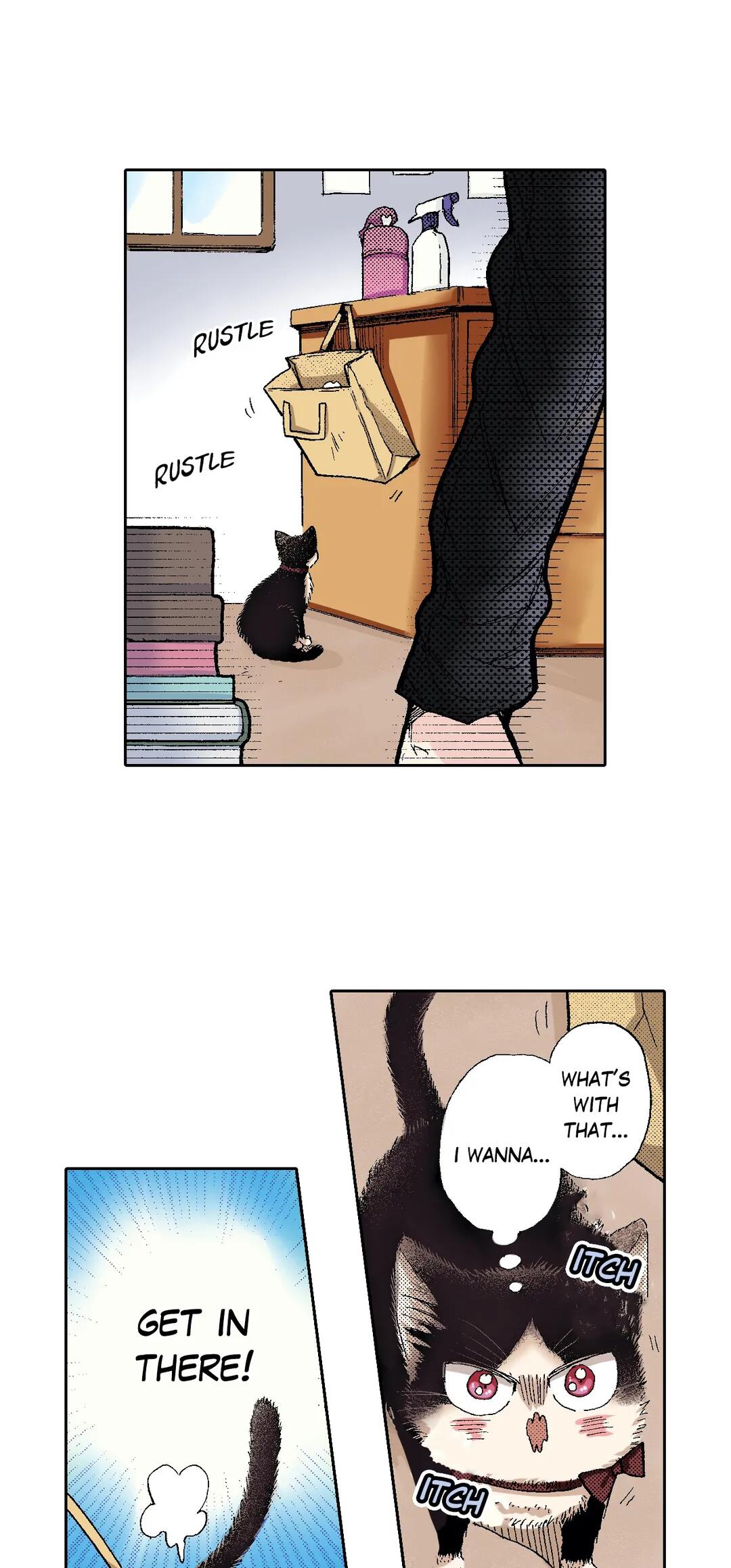 My Roommate Is A Cat Chapter 49 4